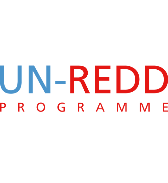 Les projets REDD+ en RDC